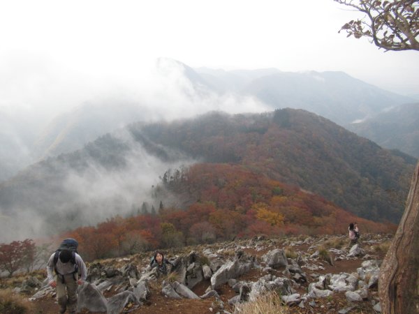 登山道